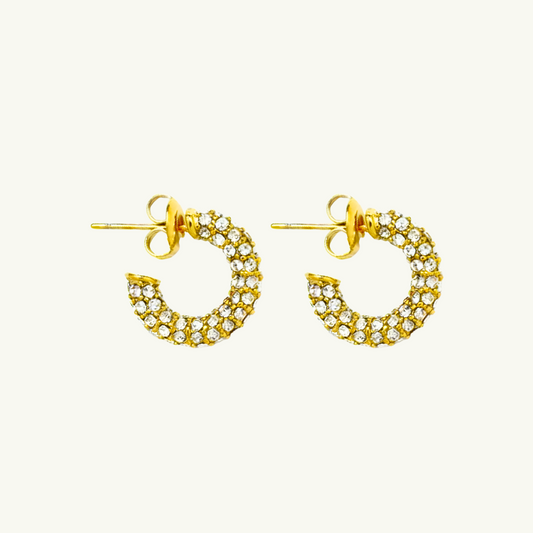 SMALL SHINY STATEMENT EARRING