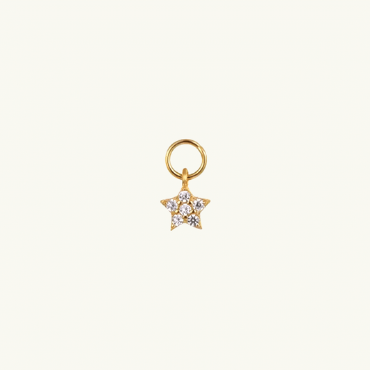 SHINY STAR EARRING CHARM